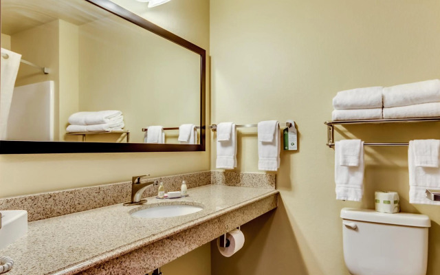 Cobblestone Inn & Suites - Waverly
