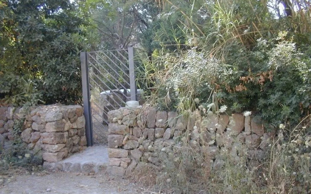 Apartment in Pollensa 100519