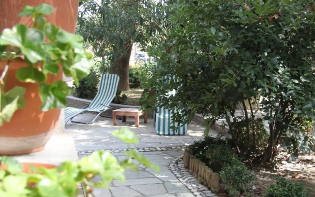 PLATANOFYLLA Studio No3