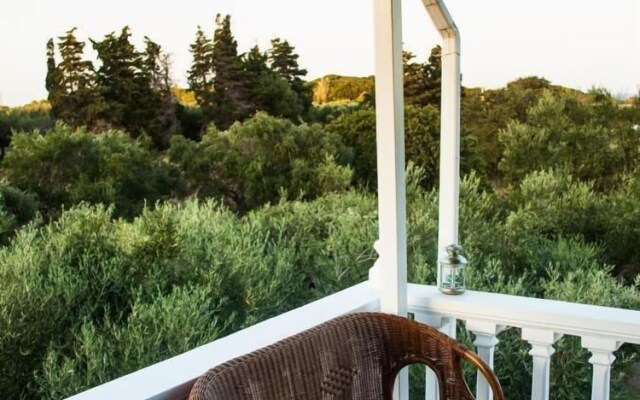 Areti Orfeas Studios