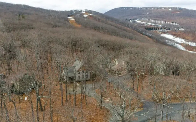 Wintergreen Ridge Retreat - Family Home