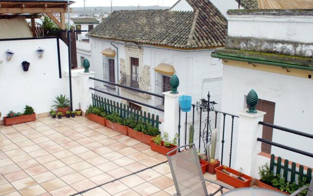Vitium Córdoba