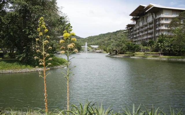 Unit 507 Pico De Loro