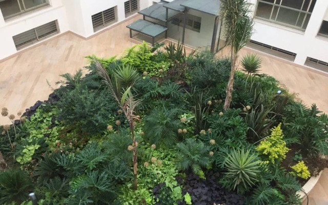 Fantastic Fully Furnished Apartment Oasis