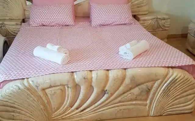 Rare house with garden in Tbilisi