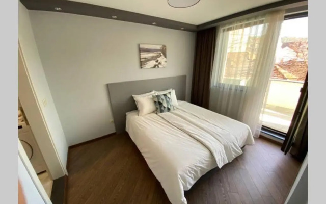 LUX 1BD/1BA City Center Apartment