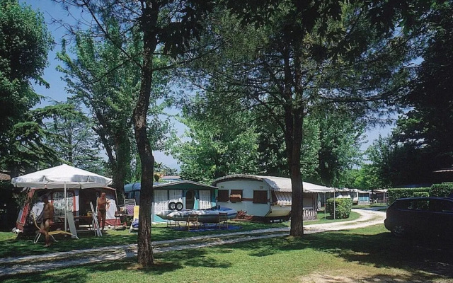 Camping Garden Tourist