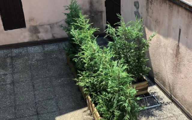 Carola B Tastefully Furnished Apartment Lakefront