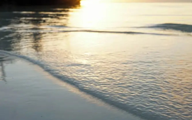 Seaside Escape: Luxury Beach House With Ocean Views