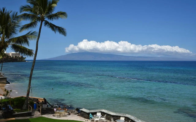 Kaleialoha 401