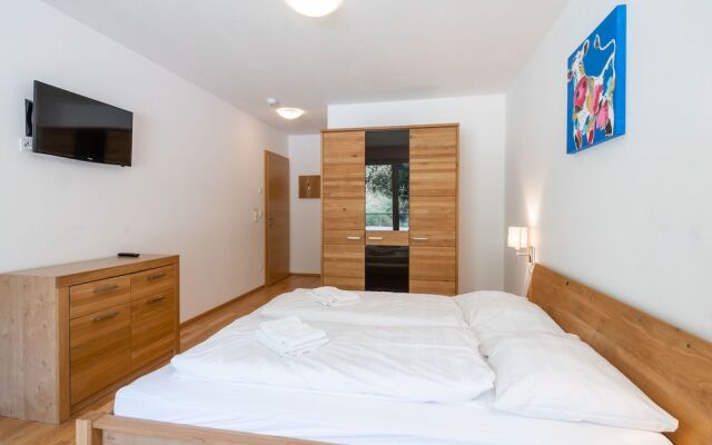 Modern Apartment in Zell am See Near Schmittenhhebahn