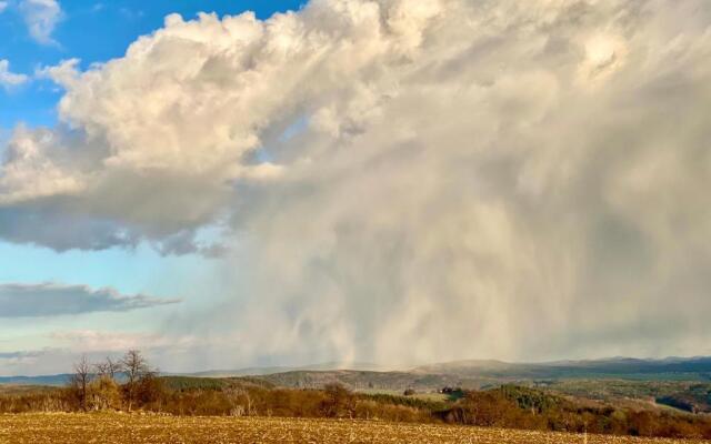 Ferienwohnung Natur und Kunst