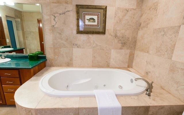 Lawson Rock Seahorse 104