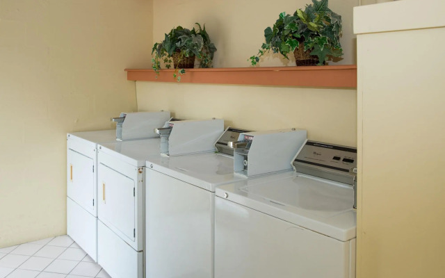 Tropical Beach Resorts