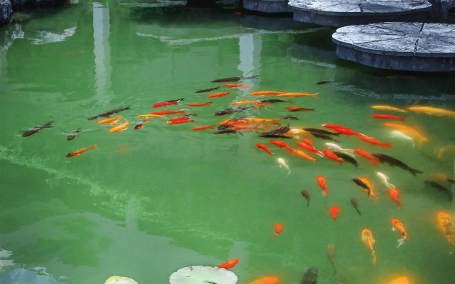 Guilin Grand Link Hotel