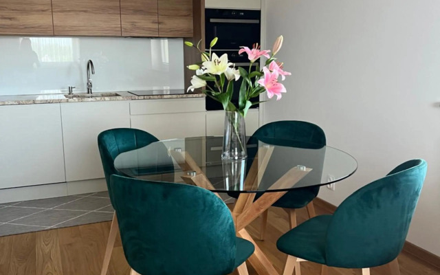 Downtown apartment Darinka