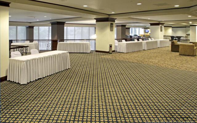 MS Milenium Monterrey, Curio Collection by Hilton