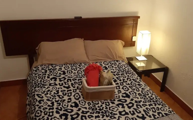 Sebris Cafic Art Gallery House