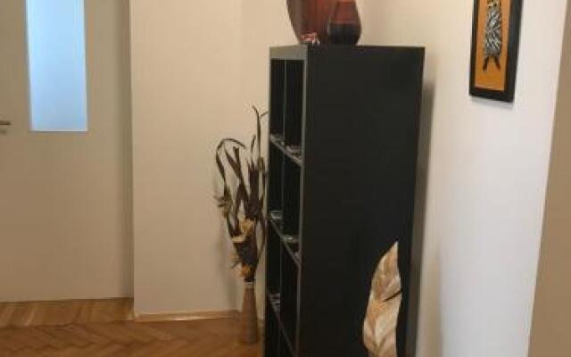 Lilians modern Appartement in historical Citycenter