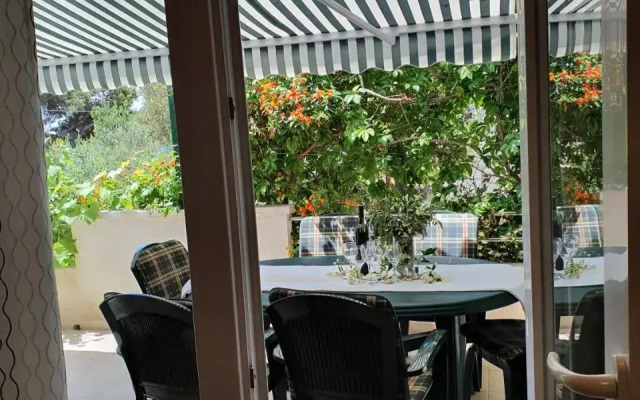 Apartment Zvonimir