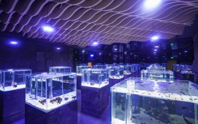 Big White Whale Ocean Exploration World