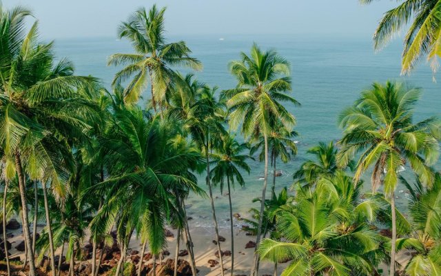 Agonda Kura Kura Beach Huts