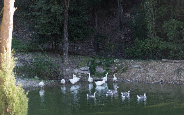 Tenuta La Bandita