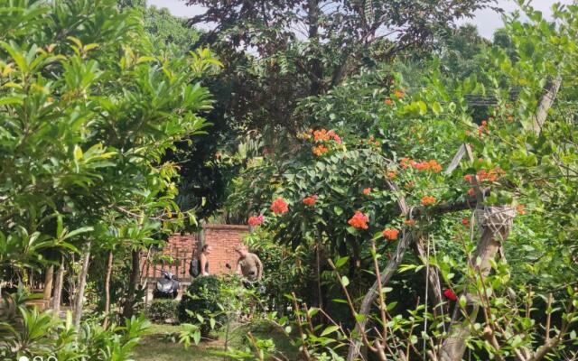 Bebe Homestay Phu Quoc