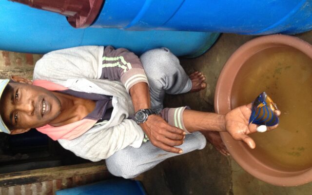 Alankuda Dolphin Village