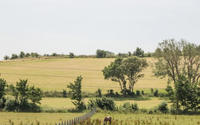 Durbyfield