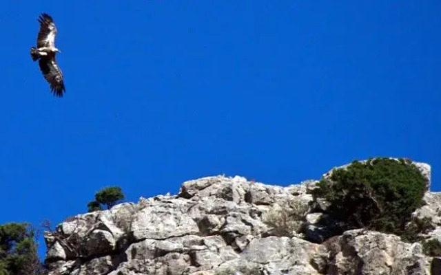 Malathiros Villas