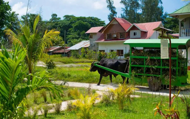 Zerof Guest House & Self Catering Apartments