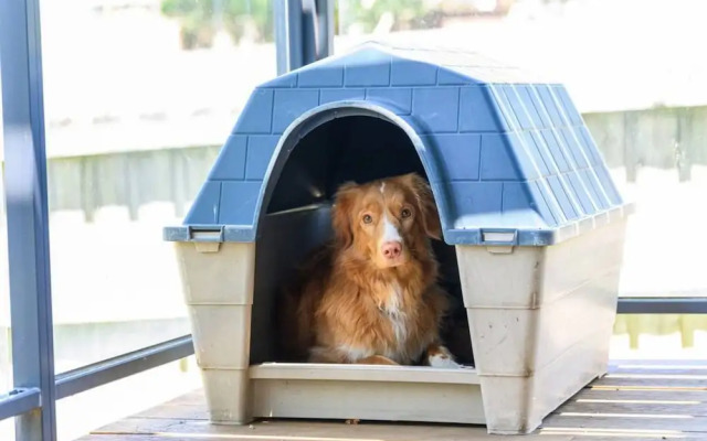 Your Ocean Oasis Ocean Country Views Spa Pet Friendly Fireplace