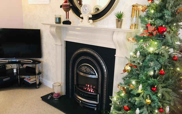 The Little Beech Tree