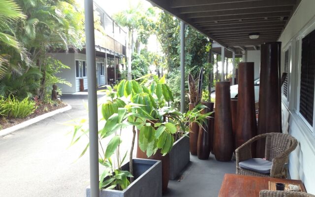 Coconut Palms On The Bay