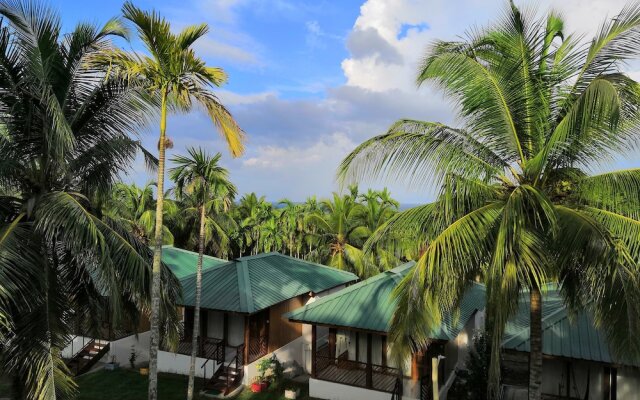 Rainforest Resort