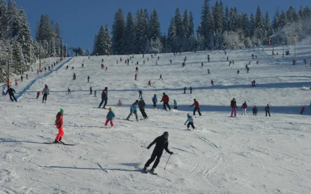 Villa 307 Spisz Resort