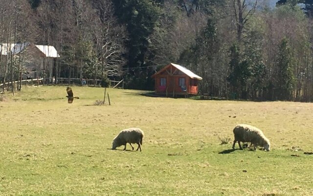 Cabana En La Pradera Lindo Paisaje En Pucon