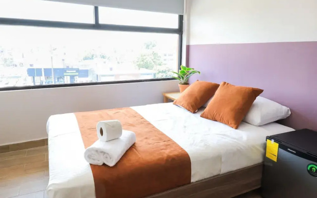 Colmena Monterrey