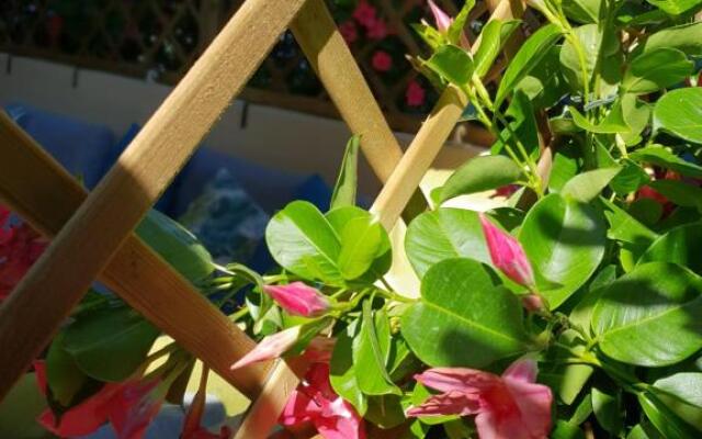 Versilia Apartment