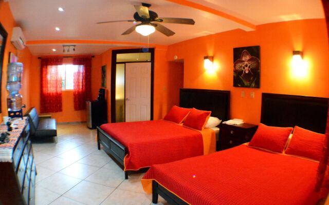 All Seasons Belize