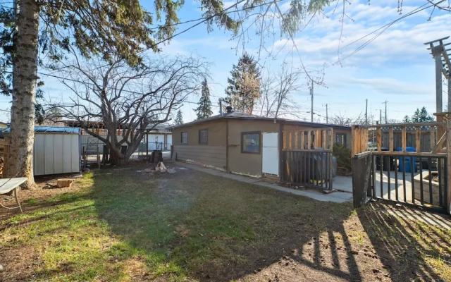 The Owl Petsok 3 Queenbd Firepit 3smarttvs