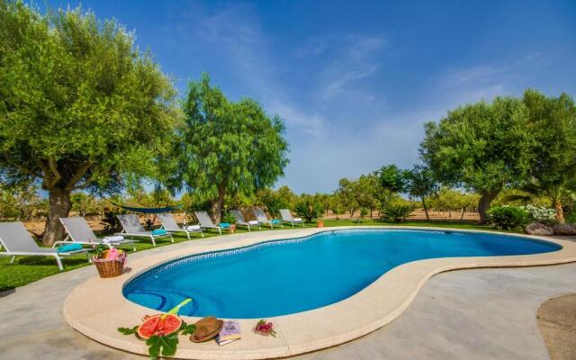 Vernissa Id:72594/2020