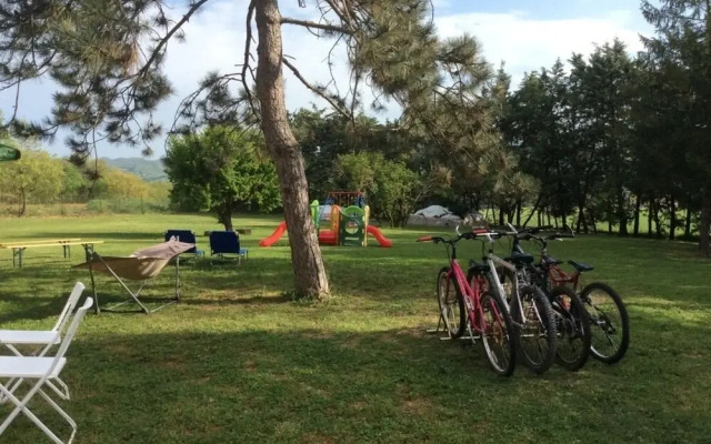 Agriturismo Colle Ombroso
