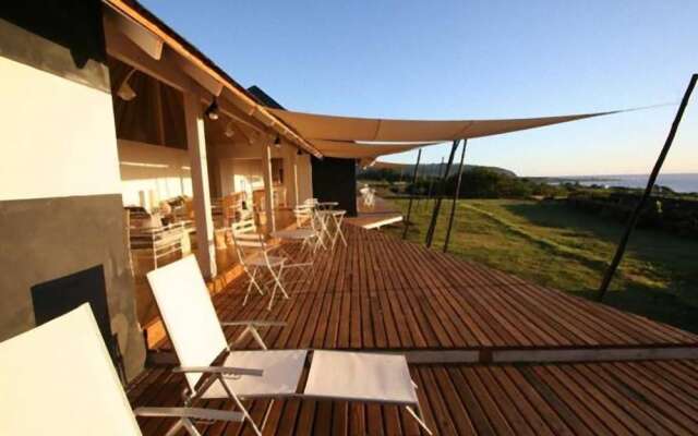 Altiplanico Rapa Nui