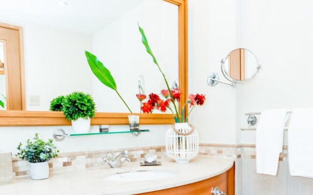 219 SEA Shell Studio