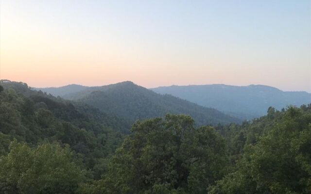The Wonder Valley Resort
