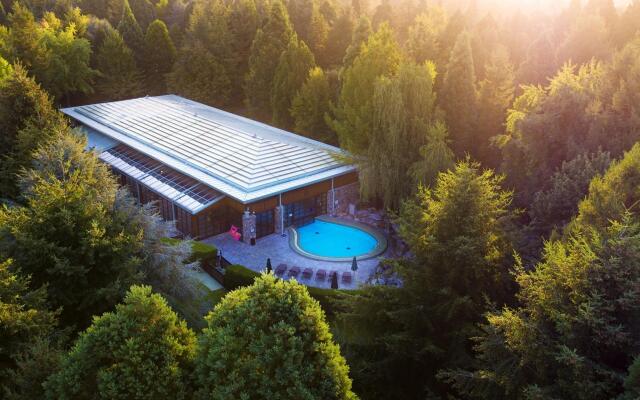 Disney Sequoia Lodge