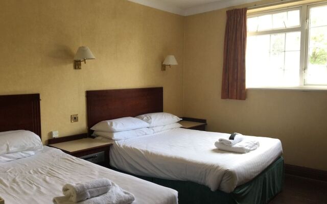 Cedar Tree Hotel
