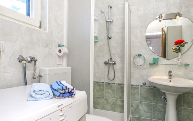 Apartment Branka